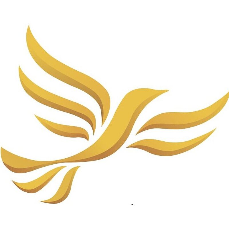 district councillor Caroline McDonnell