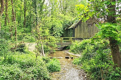 The Upper Ivel at Radford